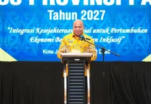 Fiskal Papua Tertekan, Pendapatan Daerah Turun Drastis