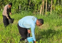 Polres Jayapura Optimalkan Ketahanan Pangan