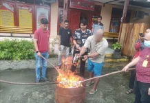 Sat Resnarkoba Polres Jayapura Musnahkan Barang Bukti Ganja Hasil Pengungkapan