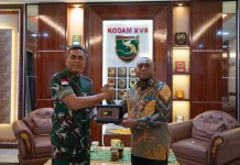 PLN dan Kodam Perkuat Sinergi Dukung Infrastruktur Listrik di Papua