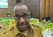Pemprov Papua Belum Buka Formasi ASN karena Kelebihan Pegawai