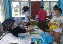 Puskesmas Skouw Fokuskan Layanan Kesehatan Bayi Balita Melalui Posyandu