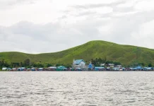 Peran Pemerintah Adat dalam Administrasi Publik Papua