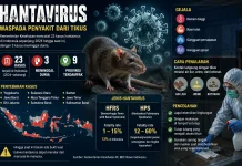 Kemenkes Catat 23 Kasus Hantavirus, Tiga Meninggal Dunia