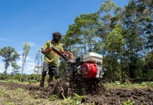 BI Papua Catat Inflasi Papua dan Tiga DOB di April 2026 Tetap Terkendali