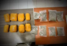 WNA PNG Dibekuk Tim Opsnal Narkoba Atas Kepemilikan 1,5 Kg Ganja