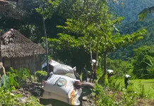 Menembus Batas: Sepiring Nasi Penjaga Ketahanan Pangan Bumi Cenderawasih