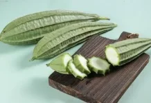 Ragam Manfaat Gambas atau Oyong untuk kesehatan