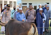 Polresta Jayapura Kota Serahkan Empat Ekor Hewan Kurban