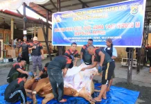 Polda Papua Sembelih 25 Hewan Kurban pada Iduladha 1447 Hijriah