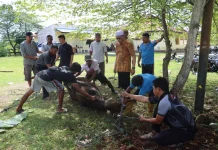 Polres Keerom Melaksanakan Penyembelihan Hewan Kurban pada Iduladha 1447 H