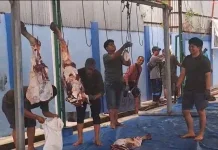 Direksi hingga Pegawai PT Air Minum Jayapura Terlibat Langsung dalam Kurban