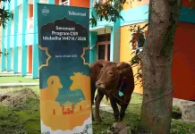 Telkomsel Salurkan Ratusan Hewan Kurban di Seluruh Indonesia