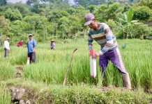 Sengketa Tanah Bisa Dicegah dengan Memasang Patok Batas