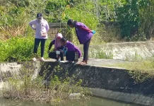 Survei Jentik Malaria di Kota Jayapura
