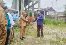 Wakil Bupati Jayapura Serahkan Hewan Kurban di Masjid Al-Aqsa Sentani