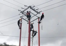 PLN Hadirkan Layanan Listrik 24 Jam di Empat Distrik Pegunungan Arfak
