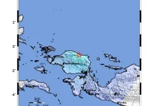 Gempa M4,8 Guncang Manokwari, Tak Berpotensi Tsunami
