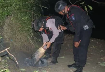 Gegana Brimob Papua Musnahkan Mortir Sisa Perang Dunia II di Sentani