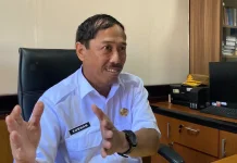 Program Diskon Pajak Kendaraan Dongkrak Penerimaan Papua 31 Persen