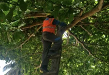 Jelang Piala Dunia, PLN Imbau Warga Jaga Jarak Aman Atribut dari Jaringan Listrik