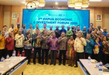 DPMPTSP Papua Perkuat Promosi Investasi di Papua
