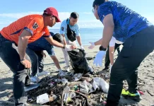 Hari Lingkungan Hidup, PLN Menggelar Aksi Pembersihan di Nabire dan Merauke