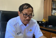 Pemprov Papua Siapkan Pemanfaatan Lahan Depan SIP untuk Tambah PAD