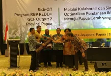 Papua Mulai Manfaatkan Dana Iklim Rp29,6 Miliar untuk Kelola Hutan