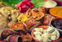 Fakta Tanaman Obat, Wawasan Ilmiah dan Tradisional