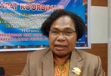MRP Soroti Terbatasnya Kewenangan Daerah Kelola SDA dalam Proyek PSN di Papua