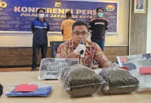 Polisi Berhasil Gagalkan Upaya Peredaran Ganja dari Papua Nugini