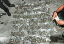 Satgas Citarum Bais TNI Gagalkan Pengiriman 2 Kilogram Ganja ke Sorong