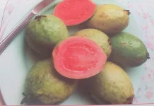 Manfaat Buah Jambu Biji