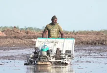 BULOG Dukung Gerakan Tanam Padi Serentak, Perkuat Swasembada Pangan di Merauke