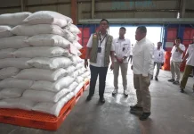 BULOG Targetkan Stok Beras di Papua Naik Tiga Kali Lipat
