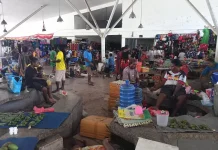 Menghitung Ulang Denyut Ekonomi dari Gerbang RI-PNG
