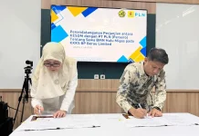 Sinergi PLN dan Kementerian ESDM Percepat Listrik Masuk Kampung di Teluk Bintuni