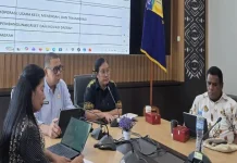 Pemprov Papua Kejar Penyusunan Standar Harga Satuan APBD 2027