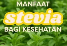 Mengenal Stevia, Pemanis Alami Pengganti Gula