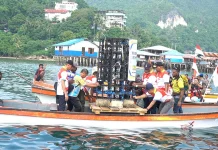 Wali Kota Lepas 27 Rumah Ikan di Kayu Pulo