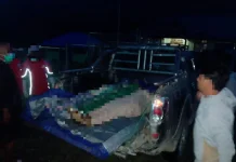 KKB Kembali Menyerang Pekerja Pembangunan Jalan di Pegunungan Papua