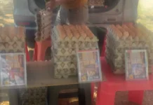 Peternak Ayam Petelur Lokal Jayapura Papua Berharap Tembus Dapur MBG