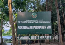 BPDAS Batasi Pengambilan Bibit Gratis Maksimal 25 Batang