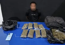 Polisi Berhasil Gagalkan Penyelundupan Ratusan Gram Ganja di Bandara Sentani