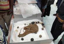 Seribu Artefak Papua Dipulangkan ke Museum Uncen
