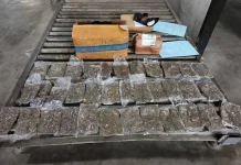 Petugas Gagalkan Pengiriman Ganja via Bandara Sentani