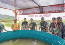 Kampung Holtekamp Mengikuti Penilaian pada Ajang Lomba Kampung Pancasila