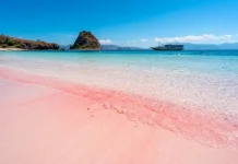 Pesona Pantai Pink yang Wajib Kamu Kunjungi