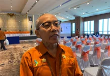 Akses dan Sinyal Hambat Pendataan Sensus Ekonomi di Papua